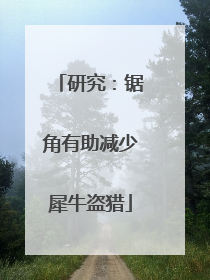 研究：锯角有助减少犀牛盗猎