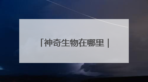 神奇生物在哪里｜比大熊猫更稀少！湖南新宁成功救护濒危鸟类海南鳽