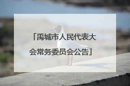 禹城市人民代表大会常务委员会公告