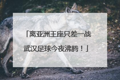 离亚洲王座只差一战 武汉足球今夜沸腾！