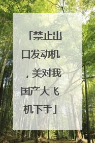 禁止出口发动机，美对我国产大飞机下手