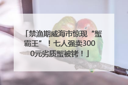 禁渔期威海市惊现“蟹霸王”！七人强卖3000元劣质蟹被铐！