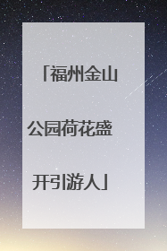 福州金山公园荷花盛开引游人