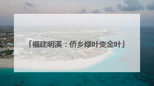福建明溪：侨乡绿叶变金叶