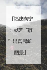 福建泰宁：灵芝“链”出富民新图景
