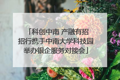 科创中南 产融有招 招行携手中南大学科技园举办银企服务对接会