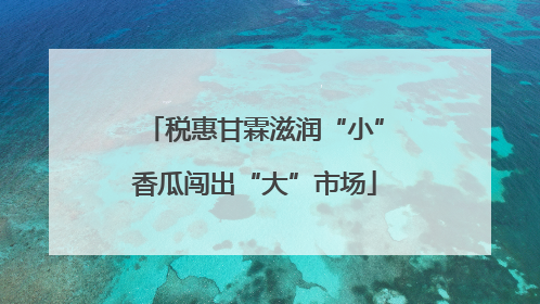 税惠甘霖滋润“小”香瓜闯出“大”市场
