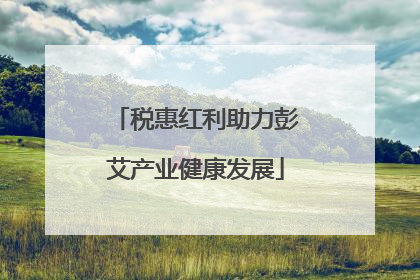税惠红利助力彭艾产业健康发展