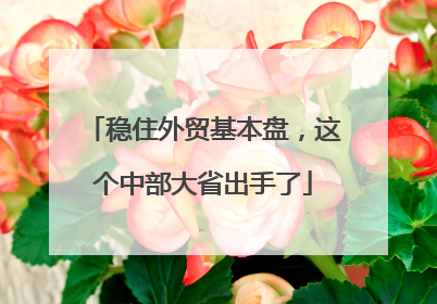 稳住外贸基本盘，这个中部大省出手了