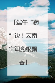 端午“药”诀！云南宁洱药根飘香