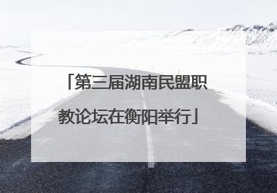 第三届湖南民盟职教论坛在衡阳举行