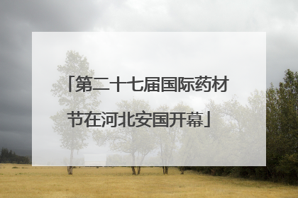 第二十七届国际药材节在河北安国开幕