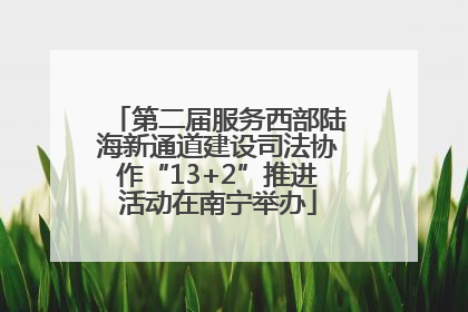 第二届服务西部陆海新通道建设司法协作“13+2”推进活动在南宁举办
