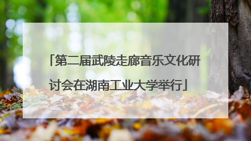 第二届武陵走廊音乐文化研讨会在湖南工业大学举行