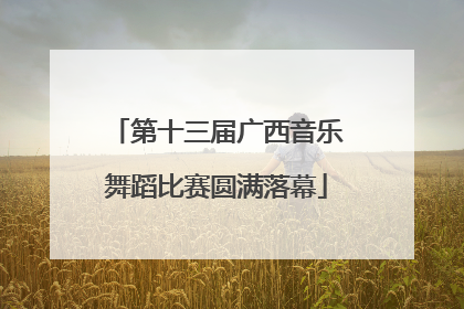 第十三届广西音乐舞蹈比赛圆满落幕