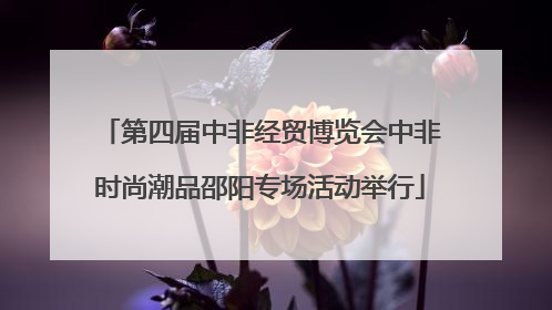 第四届中非经贸博览会中非时尚潮品邵阳专场活动举行