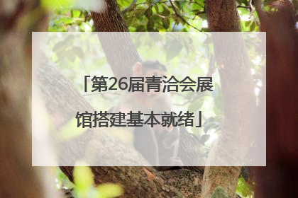 第26届青洽会展馆搭建基本就绪