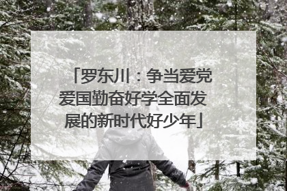 罗东川：争当爱党爱国勤奋好学全面发展的新时代好少年
