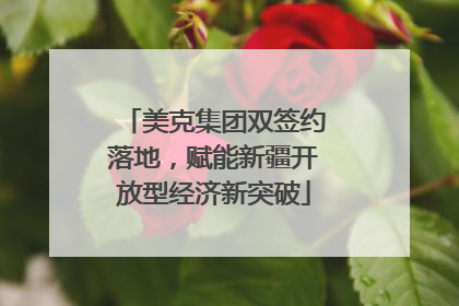 美克集团双签约落地，赋能新疆开放型经济新突破