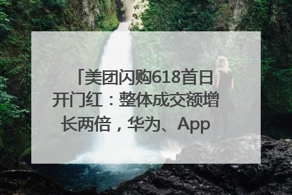 美团闪购618首日开门红：整体成交额增长两倍，华为、Apple、沃尔玛等近800个品牌翻倍增长