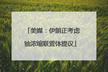 美媒：伊朗正考虑铀浓缩联营体提议