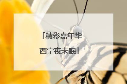 精彩嘉年华 西宁夜未眠