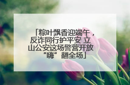粽叶飘香迎端午，反诈同行护平安 立山公安这场警营开放“嗨”翻全场