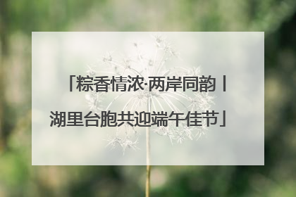 粽香情浓·两岸同韵丨湖里台胞共迎端午佳节