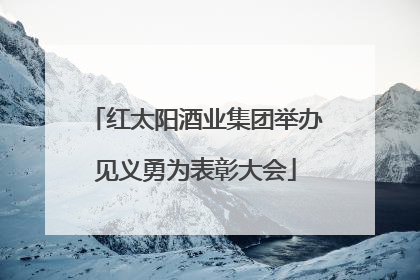 红太阳酒业集团举办见义勇为表彰大会