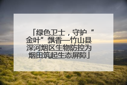 绿色卫士，守护“金叶”飘香—竹山县深河烟区生物防控为烟田筑起生态屏障