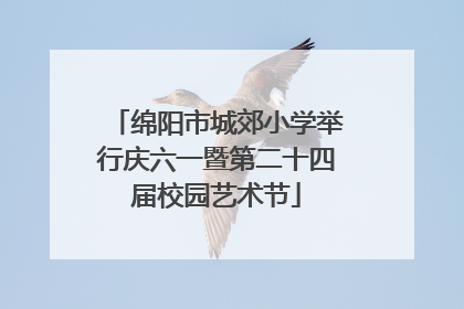 绵阳市城郊小学举行庆六一暨第二十四届校园艺术节