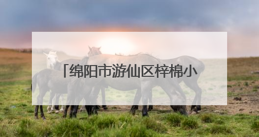 绵阳市游仙区梓棉小学开展小学语文“富乐课堂”教研活动
