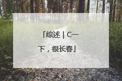 综述｜C一下，很长春