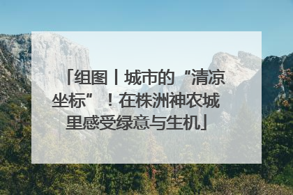 组图丨城市的“清凉坐标”！在株洲神农城里感受绿意与生机