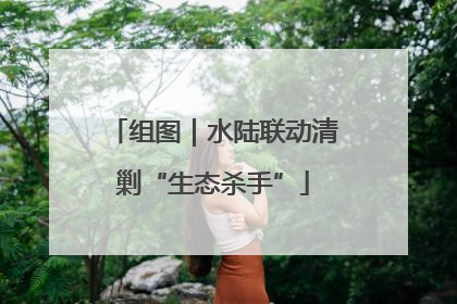 组图｜水陆联动清剿“生态杀手”