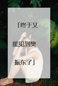 终于又能见到樊振东了
