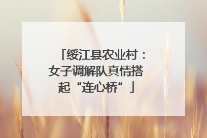 绥江县农业村：女子调解队真情搭起“连心桥”
