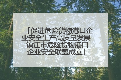 促进危险货物港口企业安全生产高质量发展 镇江市危险货物港口企业安全联盟成立