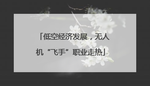 低空经济发展，无人机“飞手”职业走热