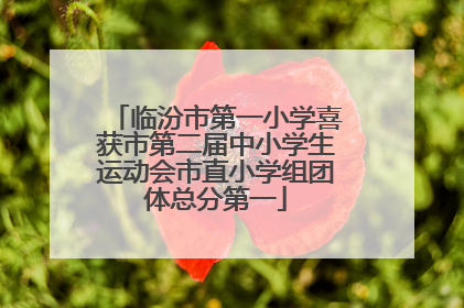 临汾市第一小学喜获市第二届中小学生运动会市直小学组团体总分第一