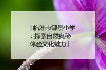 临汾市御景小学：探索自然奥秘 体验文化魅力