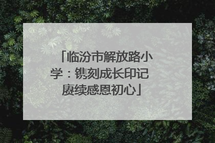 临汾市解放路小学：镌刻成长印记 赓续感恩初心