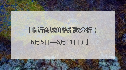 临沂商城价格指数分析（6月5日—6月11日）