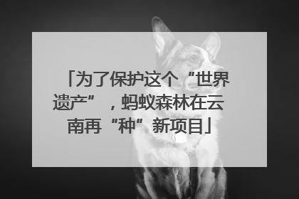 为了保护这个“世界遗产”，蚂蚁森林在云南再“种”新项目