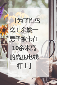 为了掏鸟窝！余姚一男子被卡在10余米高的高压电线杆上