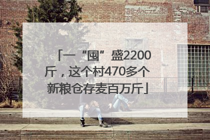 一“囤”盛2200斤，这个村470多个新粮仓存麦百万斤