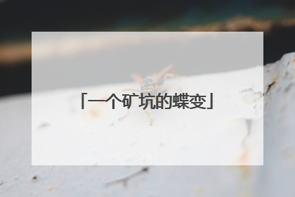 一个矿坑的蝶变
