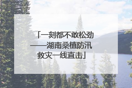 一刻都不敢松劲——湖南桑植防汛救灾一线直击