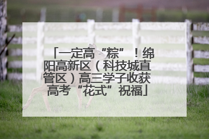 一定高“粽”！绵阳高新区（科技城直管区）高三学子收获高考“花式”祝福