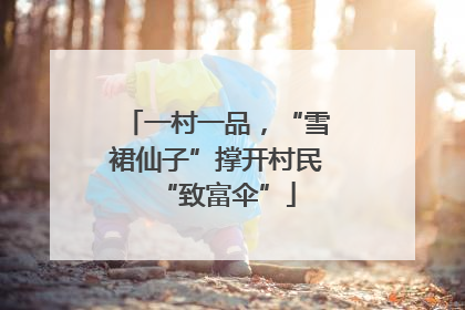 一村一品，“雪裙仙子”撑开村民“致富伞”